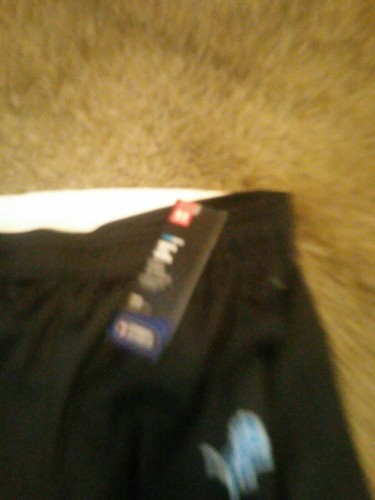 UNDER ARMOUR Detroit Lions  NFL COMBINE PANTS Kids YXL NWT Football Gym Ball - Picture 5 of 12