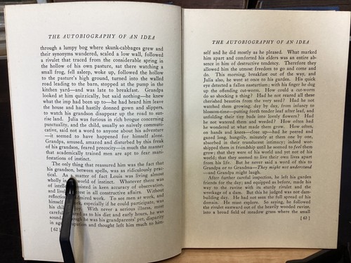 1924 Autobiography of an Idea Louis Sullivan Chicago Architecture Skyscraper - Picture 7 of 21