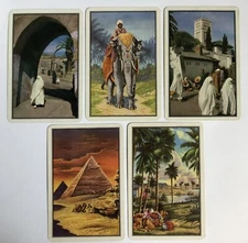 Elephant Camel Pyramid Desert Scenery Vintage Rare Retro Playing Swap Cards SET
