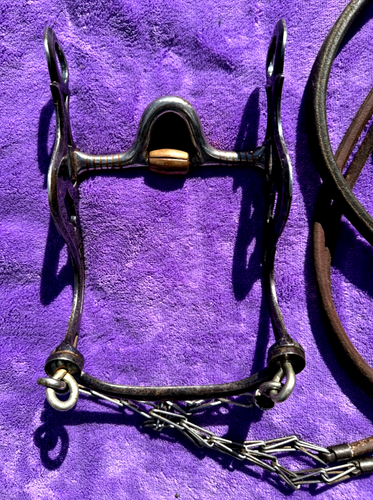 BROCA DE CABECERA DE BORDILLO DE EXHIBICIÓN DE CABALLOS OCCIDENTALES DE PLATA ESTERLINA VOGT AZUL CON RIENDAS ROMALES - Imagen 18 de 22