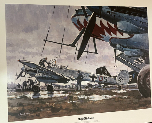 "High Fighters" Gil Cohen Signed Print - Picture 4 of 4