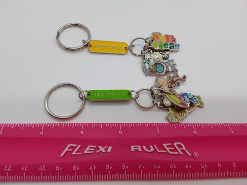 TWO Costa Rica Colorful Keychains Souvenir Frog Toucan Monkey Rainforest Dangles - Bild 5 von 5