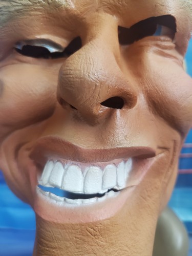 Vintage 1997 WWF Cesar - SYCHO SID VICIOUS Vinyl Soft Mask Used WWE Justice Masq - Bild 21 von 24