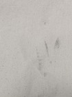Bild 11 von 12