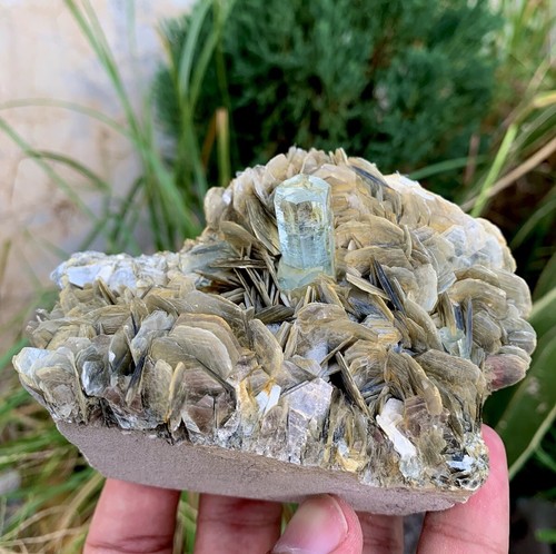 3160 CTS Stunning! Natural Aquamarine Crystal With Muscovite Specimen - Picture 6 of 8