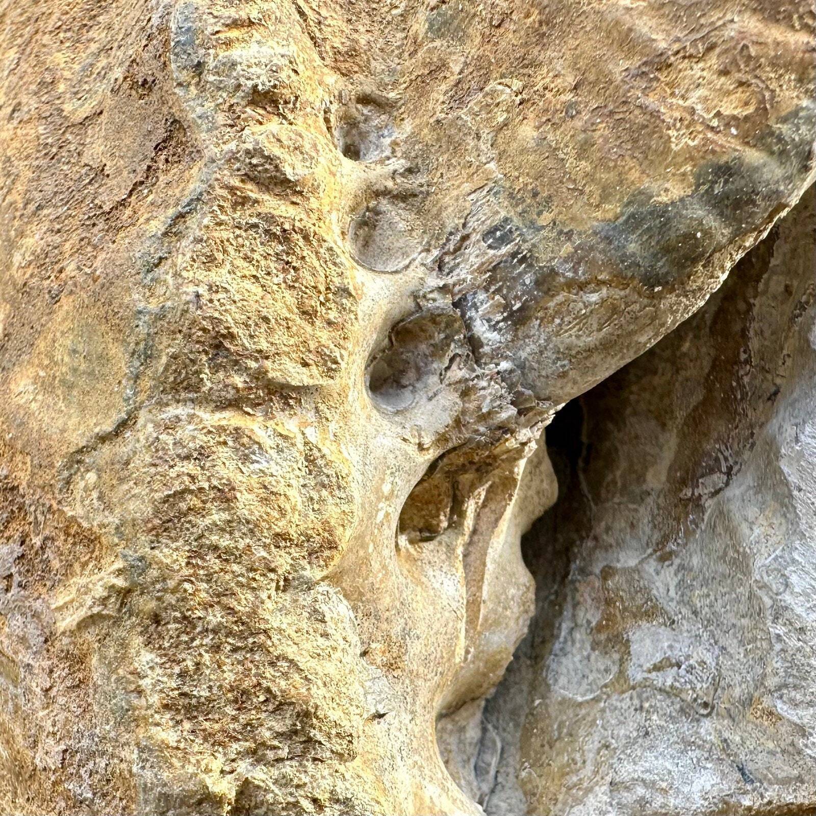 Picture 6 of 7