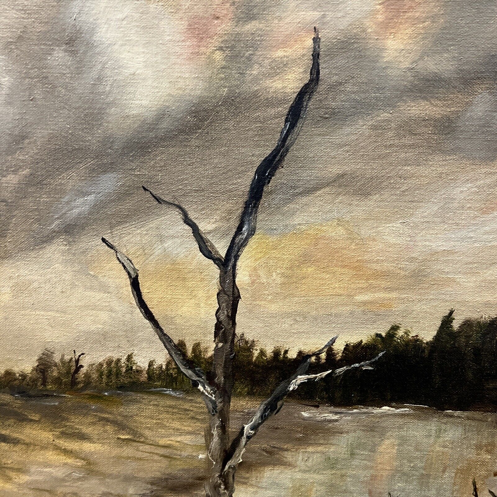 Bild 8 von 12