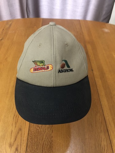 Vintage Dekalb Seed Corn Asgrow Hat Cap Snapback Farming Flying Corn Cob - Picture 2 of 9