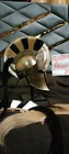 Bild 10 von 10