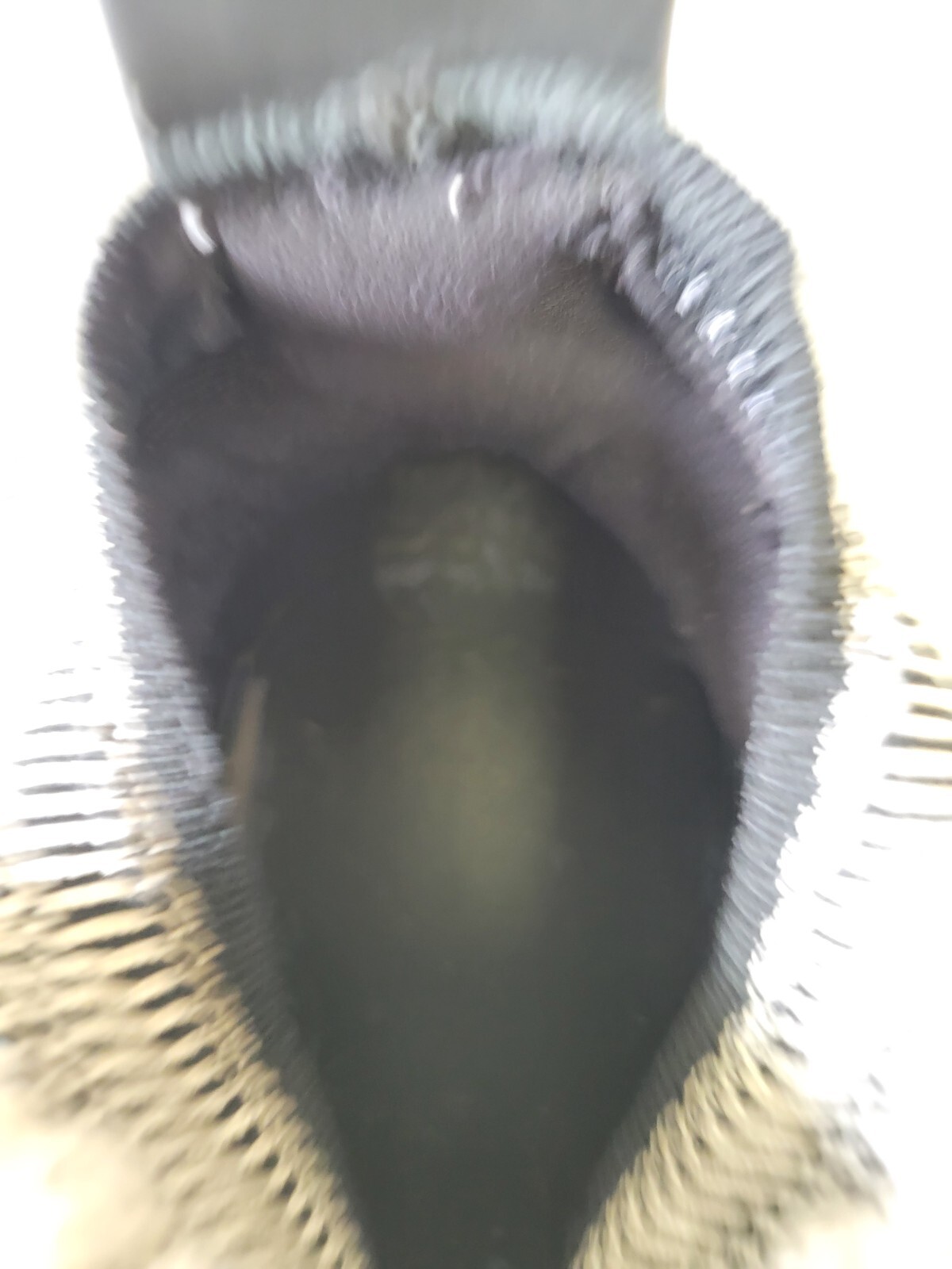 Foto 7 di 16