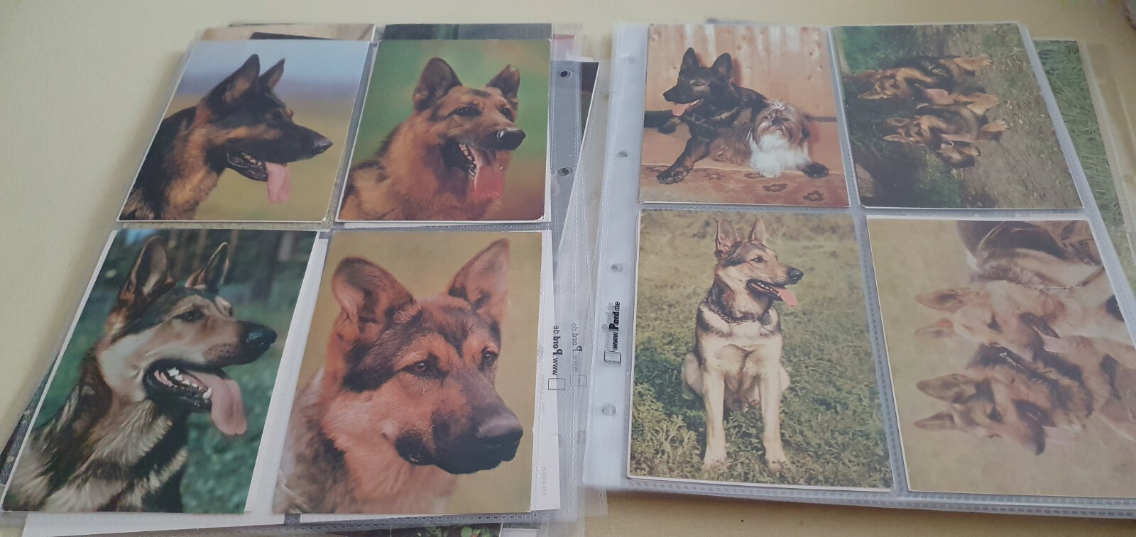 Bild 4 von 12