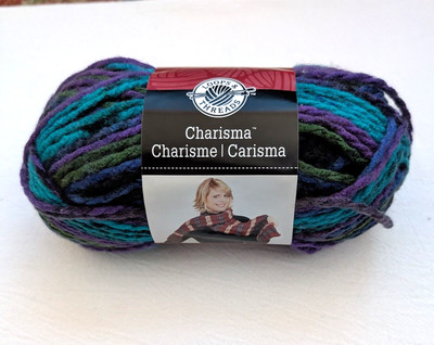 Loops & Thread Charisma 5 Bulky Acrylic Yarn 1 skein Northern Lights 25