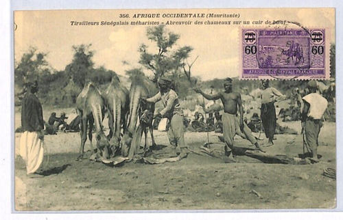 France Cols AOF MAURITANIA Postcard Ethnic PPC View Side {samwells-covers}YW14 - Picture 2 of 12