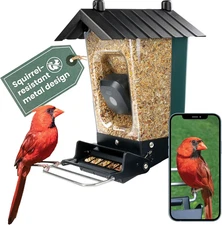 Smart Bird Feeder with Camera - Squirrel-Resistant, 3.5 Lb Capacity, Motion Acti