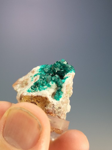 Dioptase On Matrix (Miniature) DR Congo. Ex Lukaszewicz And Gazmuri Collections - Picture 16 of 18