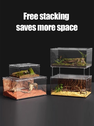 Reptile Habitat Terrarium Breeding Box Acrylic Case Arboreal Tarantula Enclosure - Picture 14 of 21
