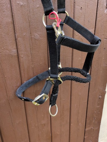 2 x Collares de control, Arma y artesanía de cabaña - Ambos tamaño pony *Envío gratuito* - Imagen 4 de 4