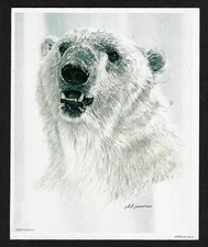 Vintage 1974 POLAR BEAR Wildlife Art Print - by Artist Phil Prentice - 4" x 5"