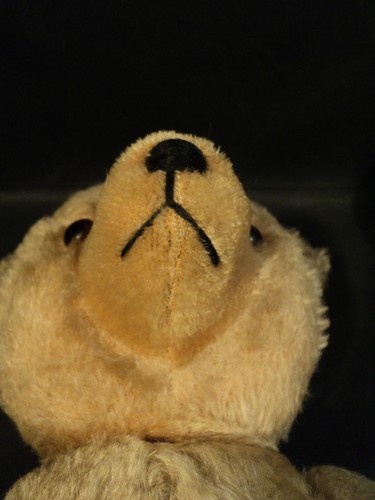 19" BEIGE MOHAIR JOINTED GERMAN 1950's GEBRUDER HERMANN TEDDY BEAR w/ GROWLER - Picture 12 of 12