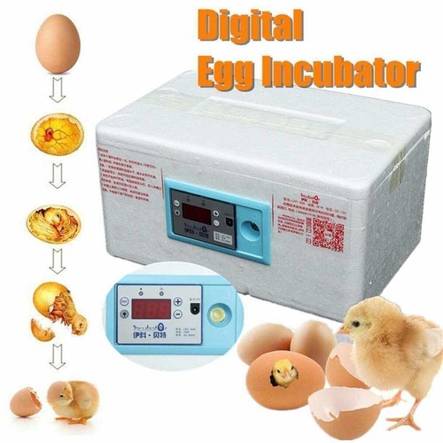Automatic Digital Incubator Poultry Hatcher Temperature Control Brooder 20 Eggs - Picture 1 of 8