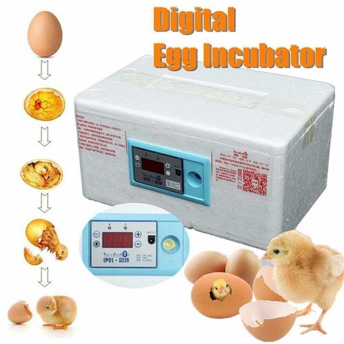 Incubadora digital automática incubadora de aves de corral incubadora control de temperatura 20 huevos - Imagen 1 de 6