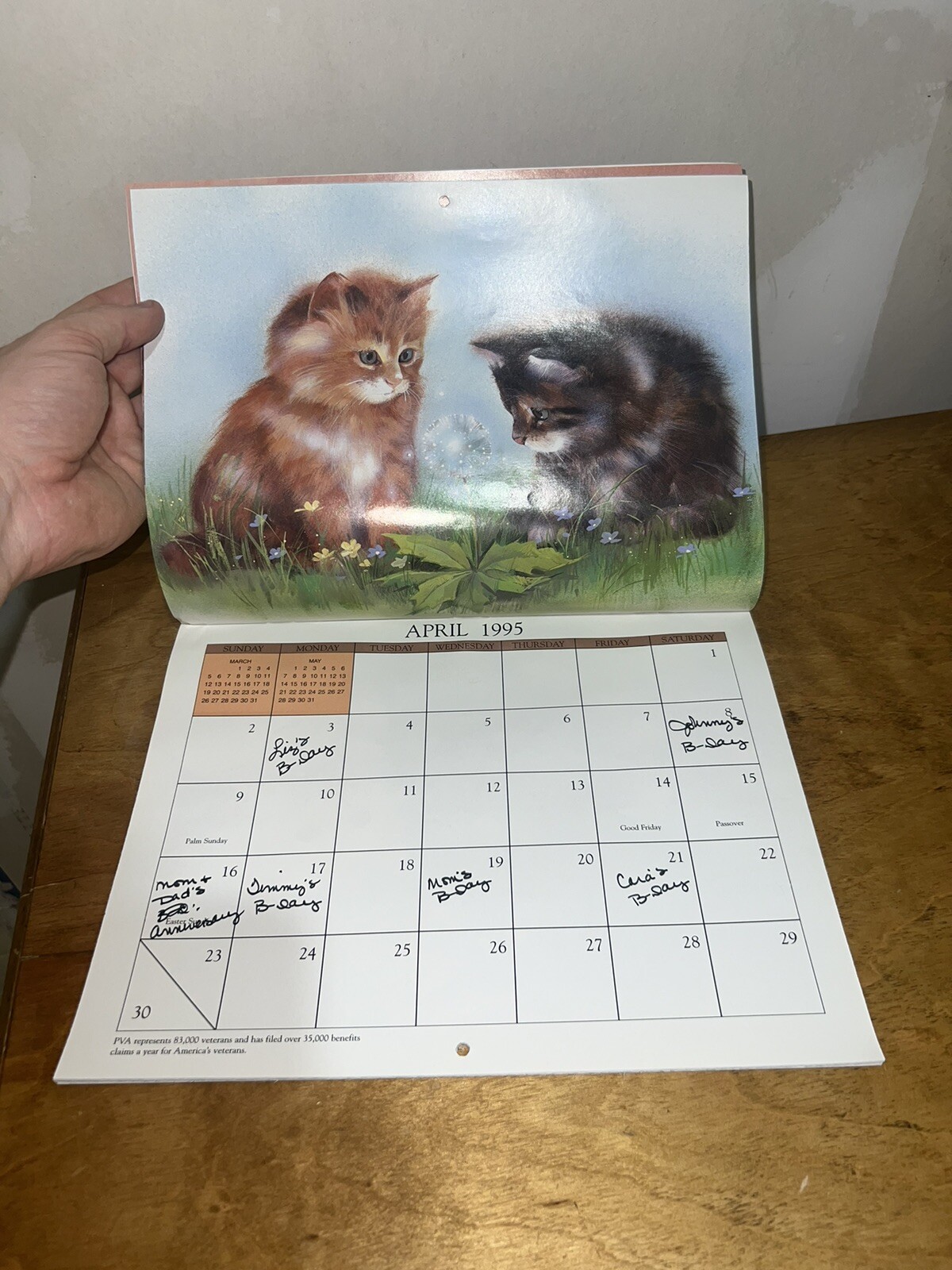 Picture 9 of 20