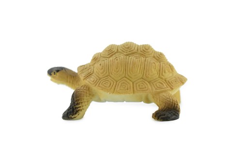 Galápagos Tortoise Plastic Realistic Toy Figurine Replica Gift 2" F4441 B55 - Bild 1 von 8