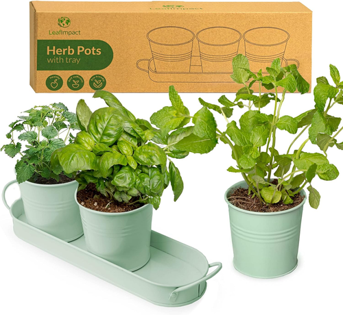 Herb Planter Indoor | Grow Fresh Herbs at Home | Herb Pots for Kitchen & Windows - Picture 11 of 12