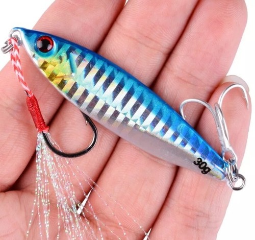 METAL JIG MINNOW ARTIFICIALE SPINNING PESCA MARE 21-30 GR - Imagen 4 de 23