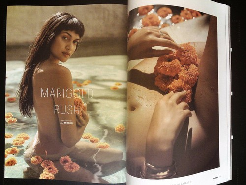 PLAYBOY US Winter 2020 RENEE TENISON Riley Ticotin CHASITY SAMONE @ LIKE NEW - Imagen 14 de 16