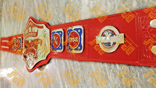 NWA TELEVISION WORLD HEAVYWEIGHT WRESTLING CHAMPIOSHIP TITLE BELT 4mm zinc plate - Picture 7 of 10
