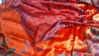 Foto 3 di 3