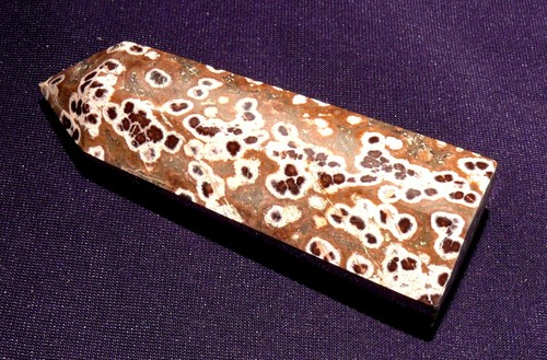 Versteinerte Koralle, achatisiert, Indonesien 64,6g, 70x29x23mm Fossil 化石 - Bild 8 von 8