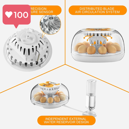 12-Egg Incubator – Fully Automatic with Temperature & Humidity Control! - Picture 4 of 12