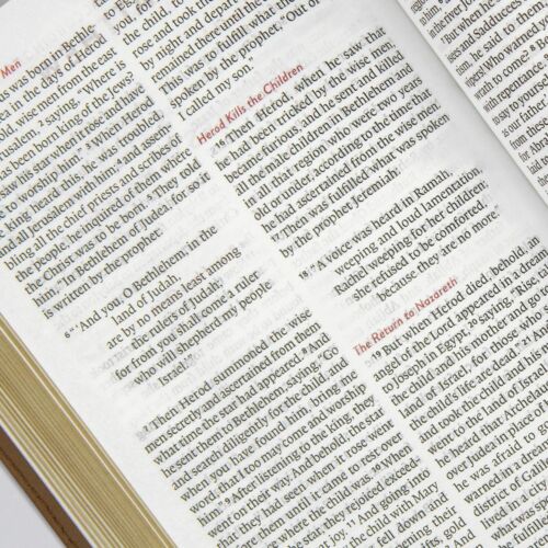 Personalized Custom ESV Kids Thinline Bible English Standard Version Leather - Imagen 14 de 36
