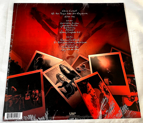 CHRIS CORNELL No One Sings Like You Anymore LTD ED Picture Disc Vinyl/LP SEALED - Picture 3 of 7