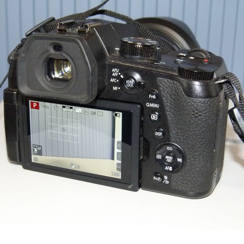 Panasonic DC-FZ 1000 II - 4283 Klicks - 1-Zoll-Sensor, 20MP, menu only english - Bild 7 von 17