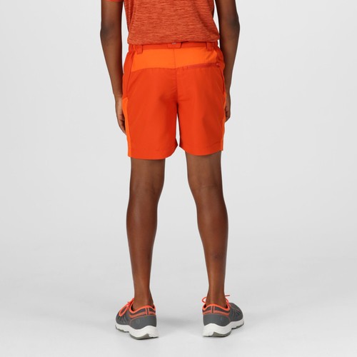 Regatta Boys Sorcer Mountain III Quick Dry Walking Shorts - Picture 6 of 16