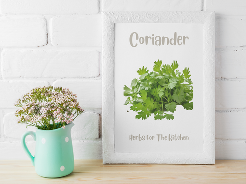 Herbs For The Kitchen Wall Art Prints On 250 gsm Card Choice of 12 on A4 - Picture 17 of 26