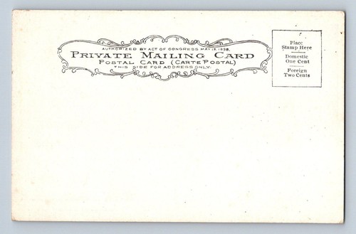 Tarjeta postal Dress Parade Hotel Chamberlin Fortress Monroe Virginia sin publicar - Imagen 2 de 2