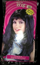 FUN WORLD NEW NIP long black HAIR WIG HALLOWEEN COSTUME ACCESSORY one size