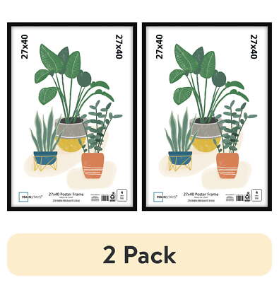 (2 pack) Mainstays 27x40 Basic Poster Frame, Black