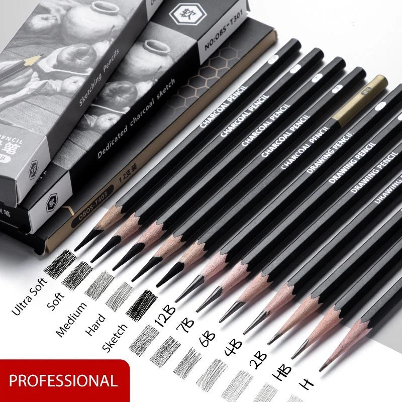 12pcs Pencils Professional Drawing Sketch Set of 2H-8B Artist Pencil Drawing  Shading Art