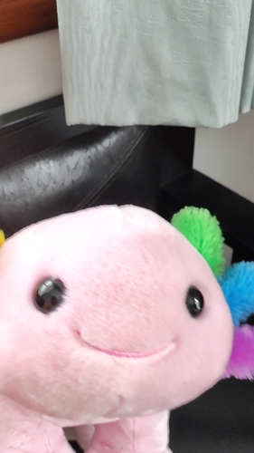 Build A Bear Regenbogen rosa Axolotl Stofftier 18 Zoll 2023 Soundbox I love you - Video 1 von 1
