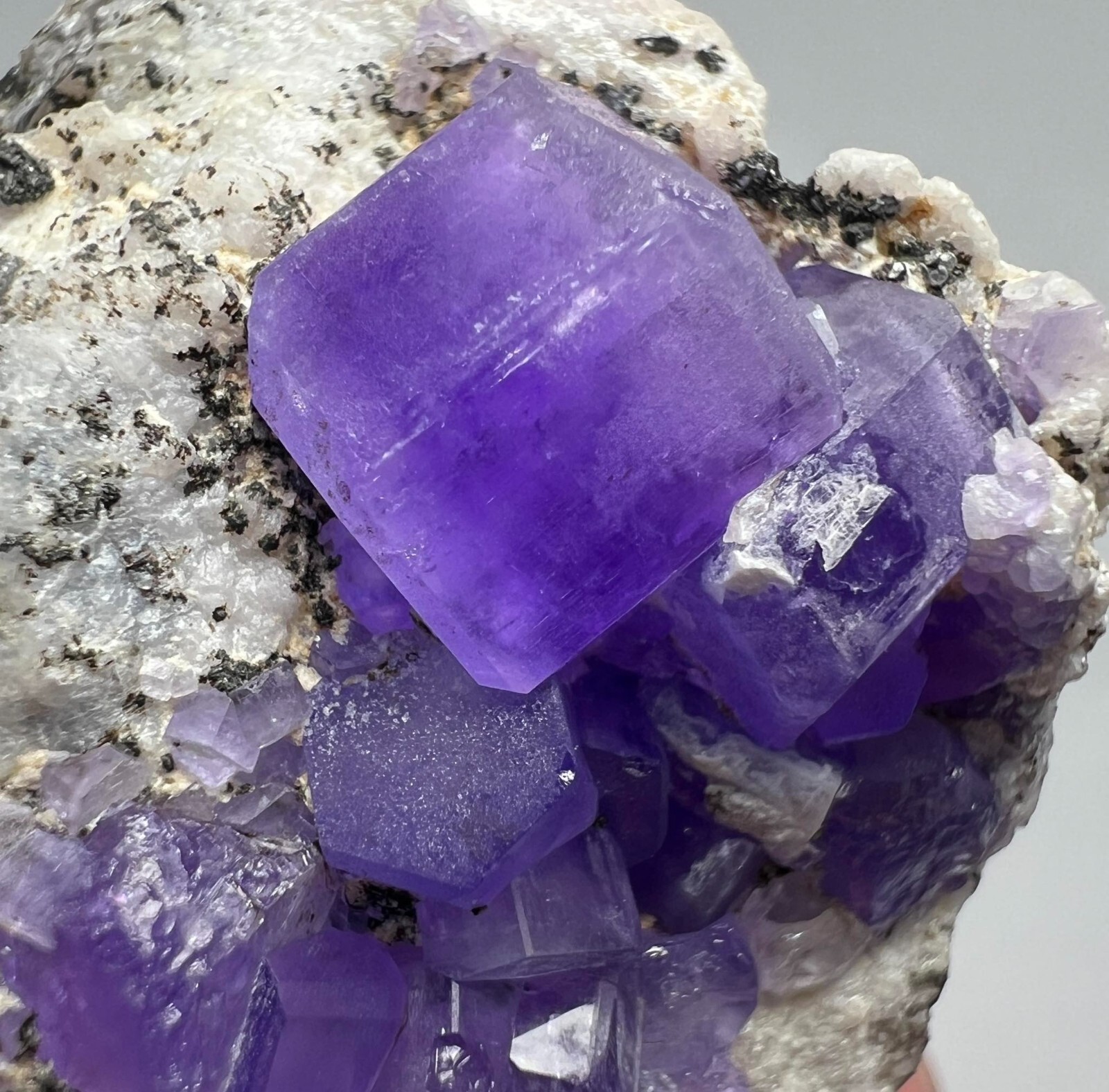 Mount Apatite Auburn - rjuwf8k