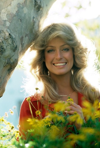 FARRAH FAWCETT - Stunning 12" x 8" Colour Portrait Photograph circa 1970s