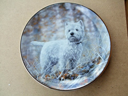 Porzellan Hundeteller Westie Wandteller Sammelteller Westie Aufgepasst  Neu ! - Bild 2 von 3