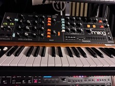 Behringer POLY D Analog Polyphonic Synthesizer for sale