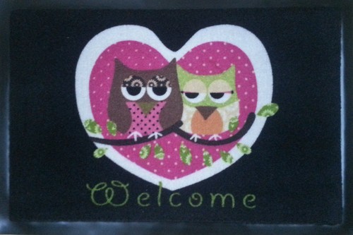 Fußmatte Eule Katze Hunde Fußmatten rutschfest Design Schmutzmatten OWL Cat Dog - Bild 17 von 34