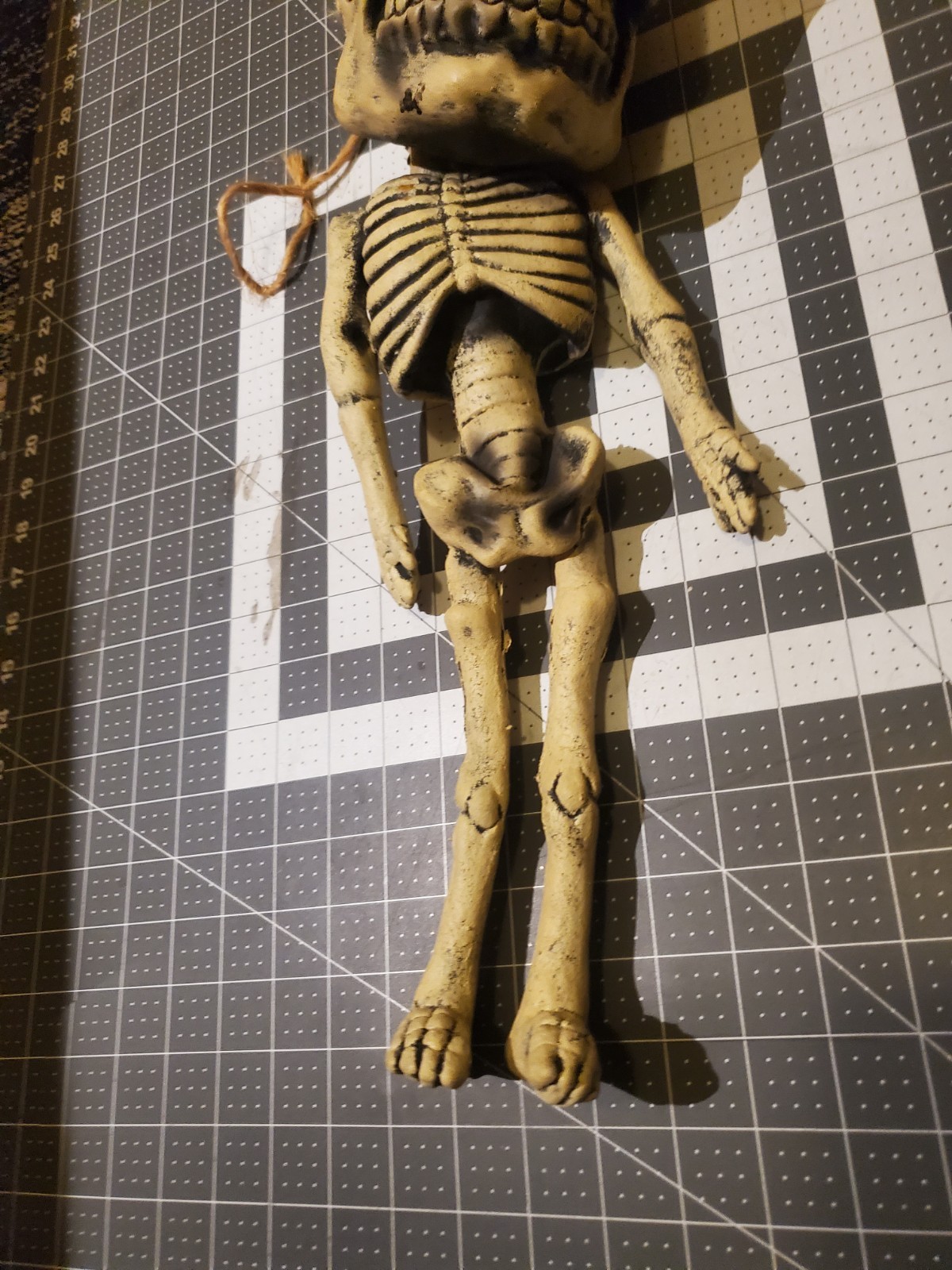 Picture 5 of 20